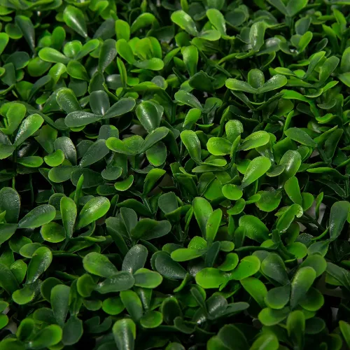 Pratum Jardin 50x50 Linea Clasica Amsterdam 00001.webp