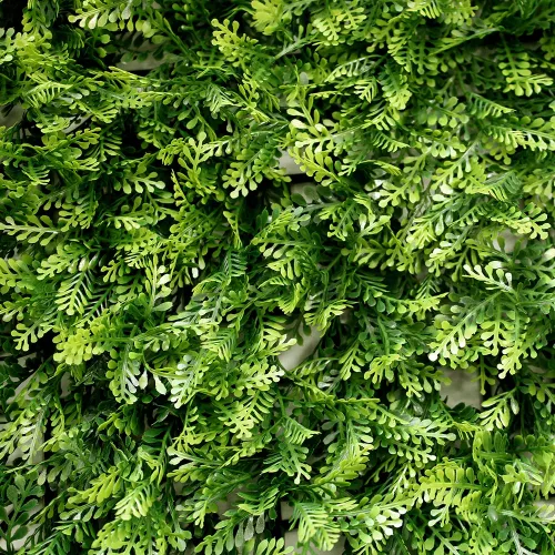 Pratum Jardin 50x50 Linea Premium Valencia 00001.webp