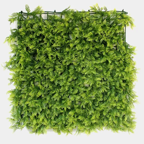 Pratum Jardin 50x50 Linea Premium Valencia 00005.webp