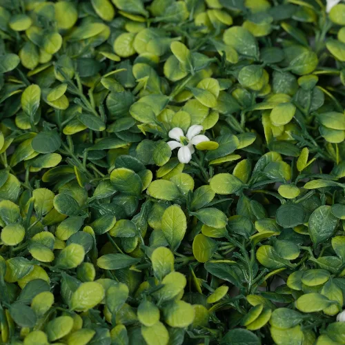 Pratum Jardin 50x50 Parais 29 04001 8 Gris.webp