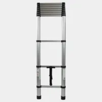 Esc008nd 001 un dsc09611 gris