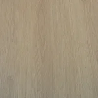 FLT001SY-013-CA_DSC00244_GRIS Flt001sy 013 ca dsc00244 gris