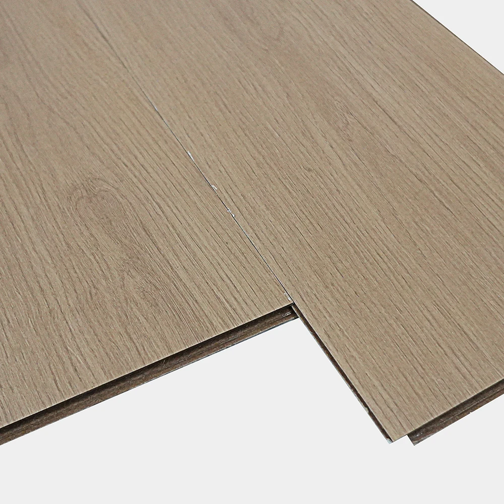 FLT001SY-013-CA_DSC00249_GRIS Flt001sy 013 ca dsc00249 gris