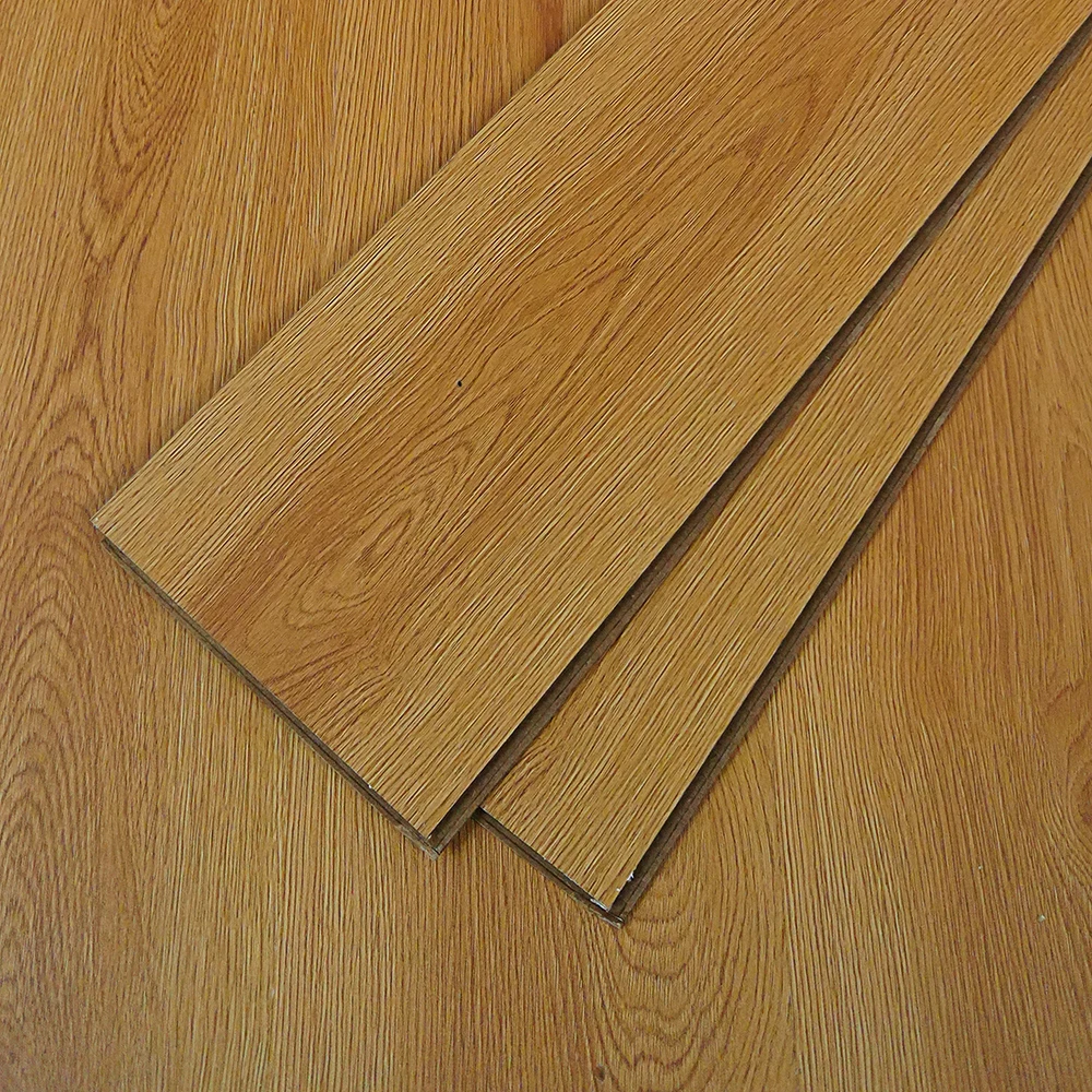 Flt001sy 020 ca dsc00266 gris