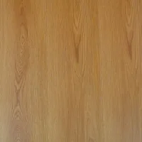 Flt001sy 020 ca dsc00269 gris