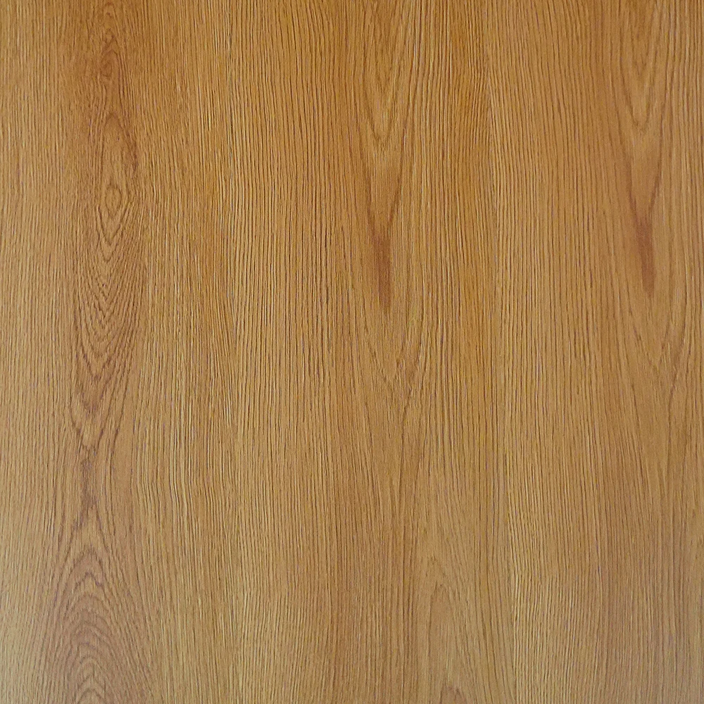 Flt001sy 020 ca dsc00269 gris