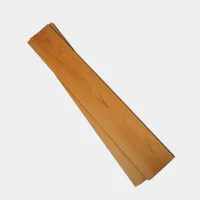 Flt001sy 020 ca dsc00270 gris