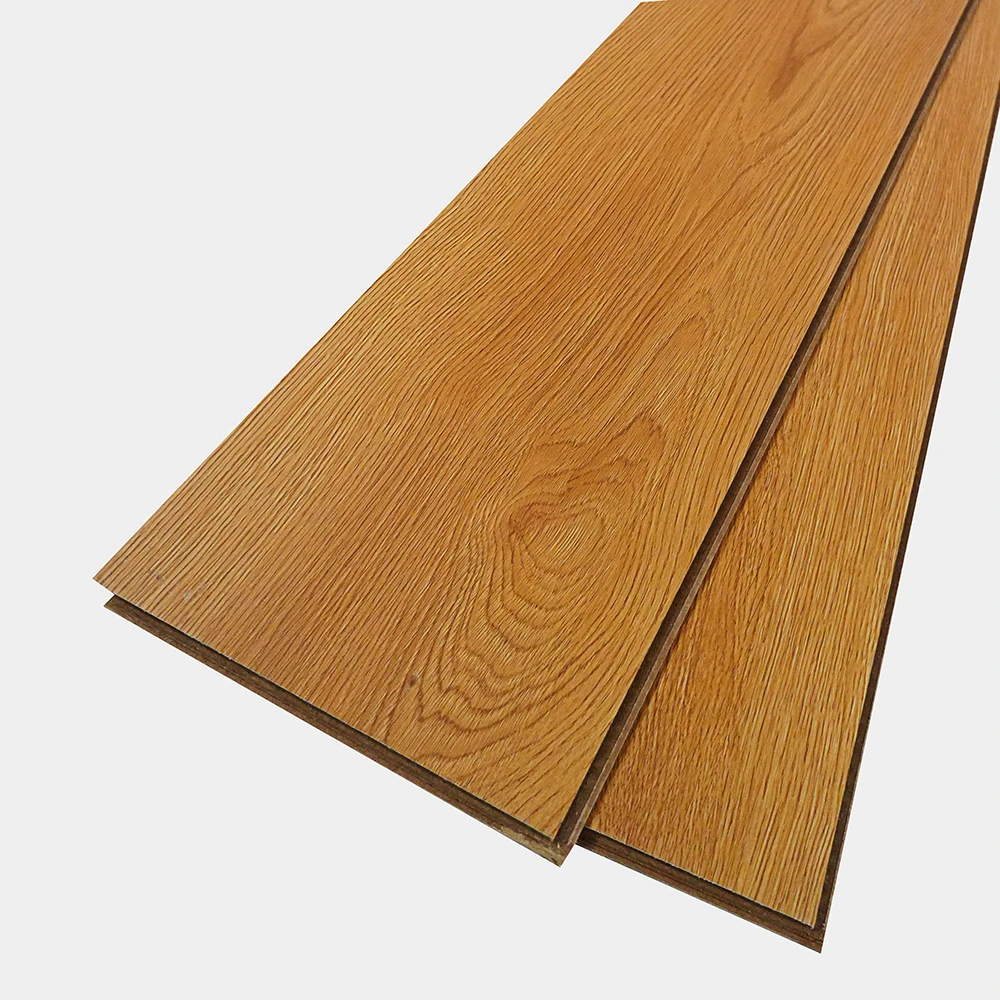 Flt001sy 020 ca dsc00271 gris