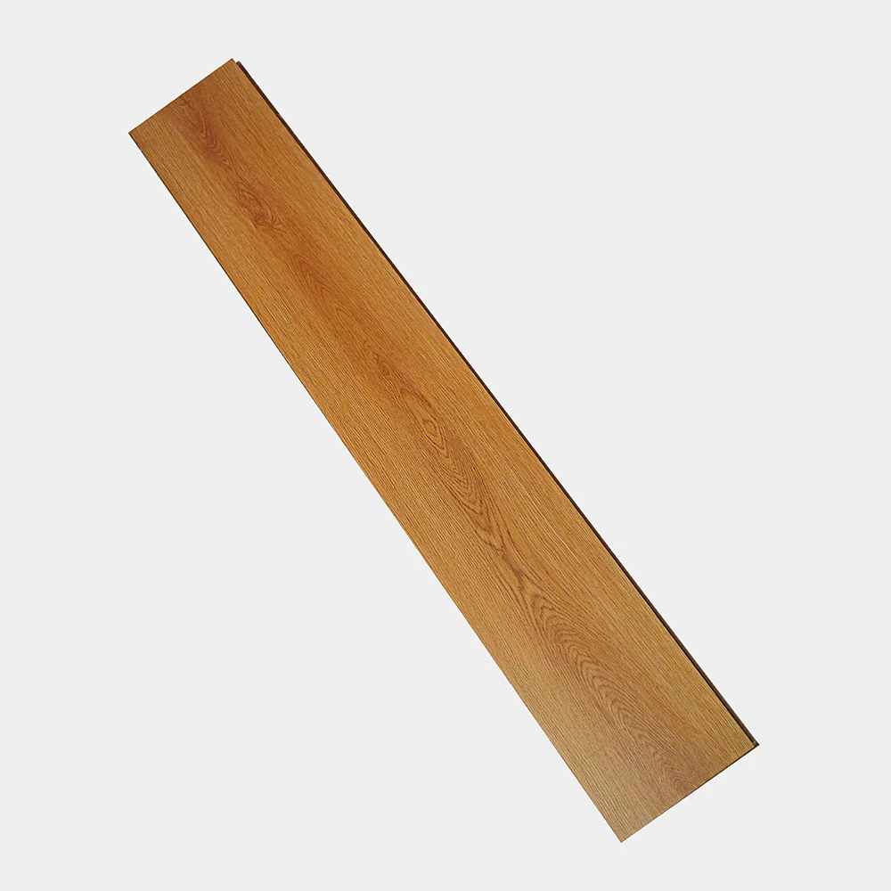 Flt001sy 020 ca dsc00273 gris