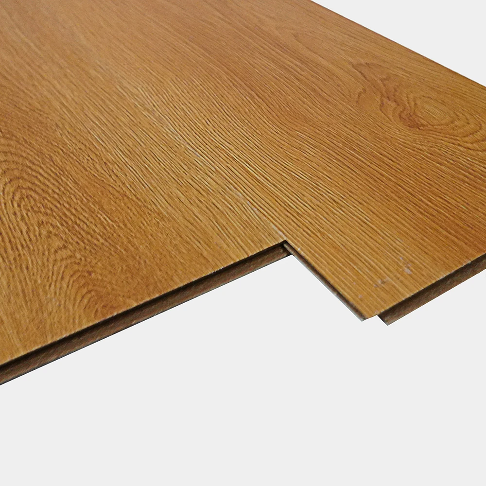 Flt001sy 020 ca dsc00274 gris