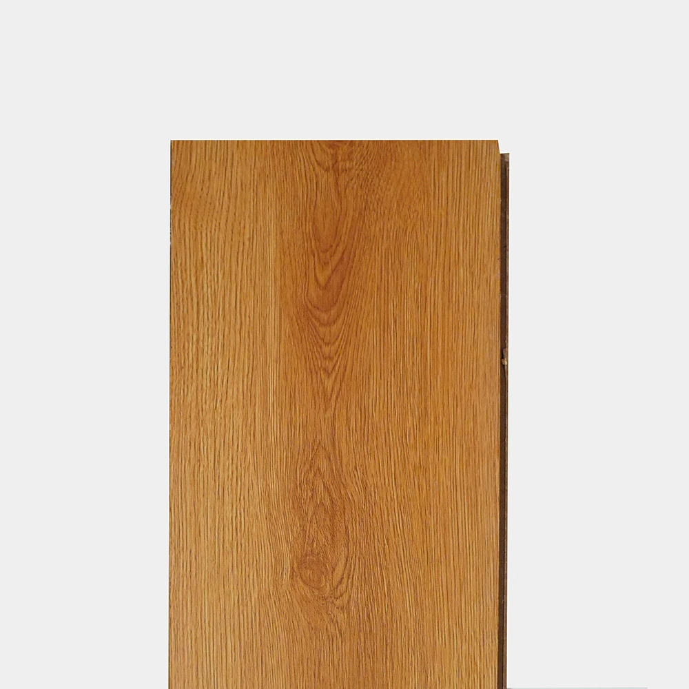 Flt001sy 020 ca dsc00275 gris