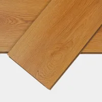 Flt001sy 020 ca dsc00277 gris