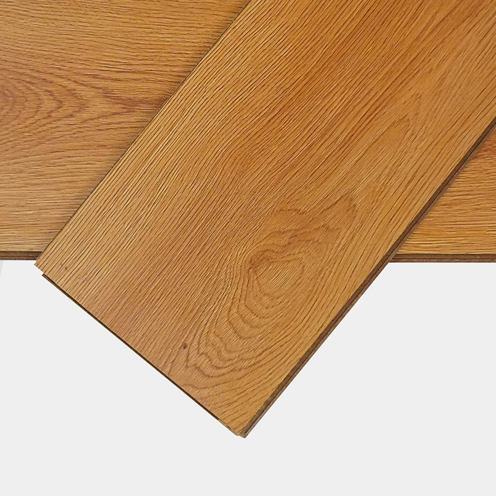 Flt001sy 020 ca dsc00277 gris