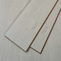 Flt001sy 049 ca dsc00279 gris