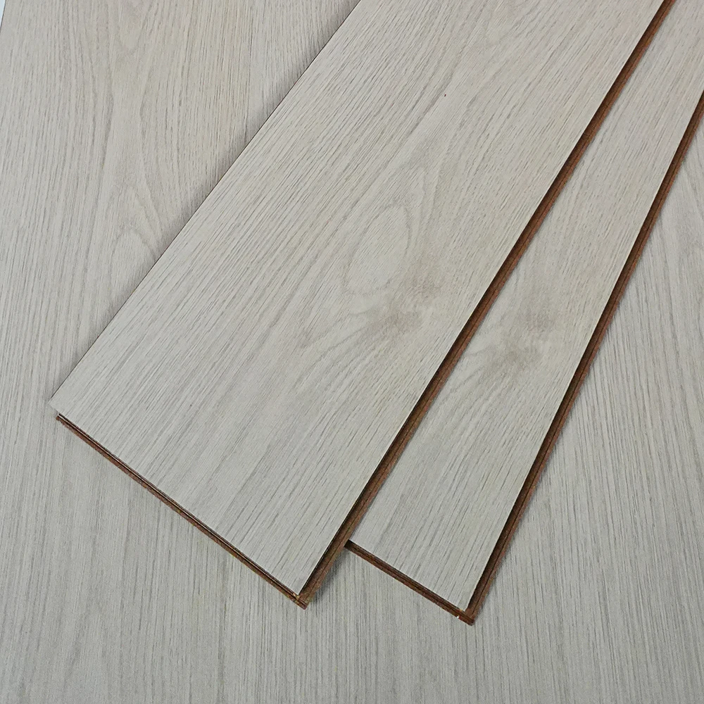 Flt001sy 049 ca dsc00279 gris