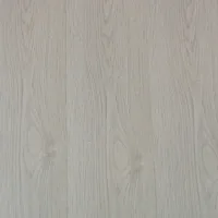 Flt001sy 049 ca dsc00281 gris