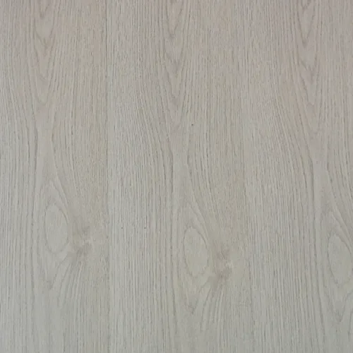 Flt001sy 049 ca dsc00281 gris