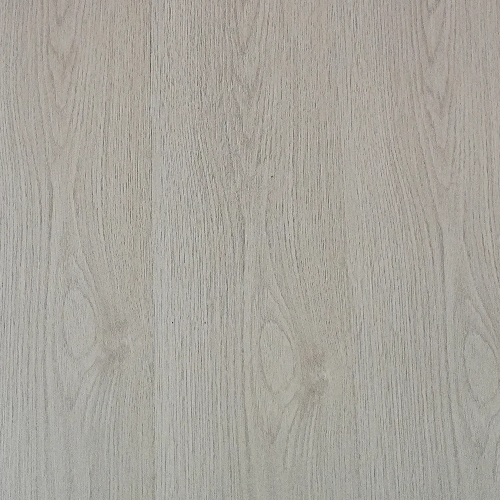 Flt001sy 049 ca dsc00281 gris