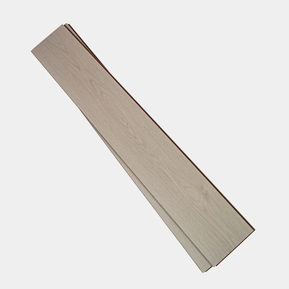 Flt001sy 049 ca dsc00283 gris