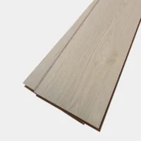 Flt001sy 049 ca dsc00284 gris