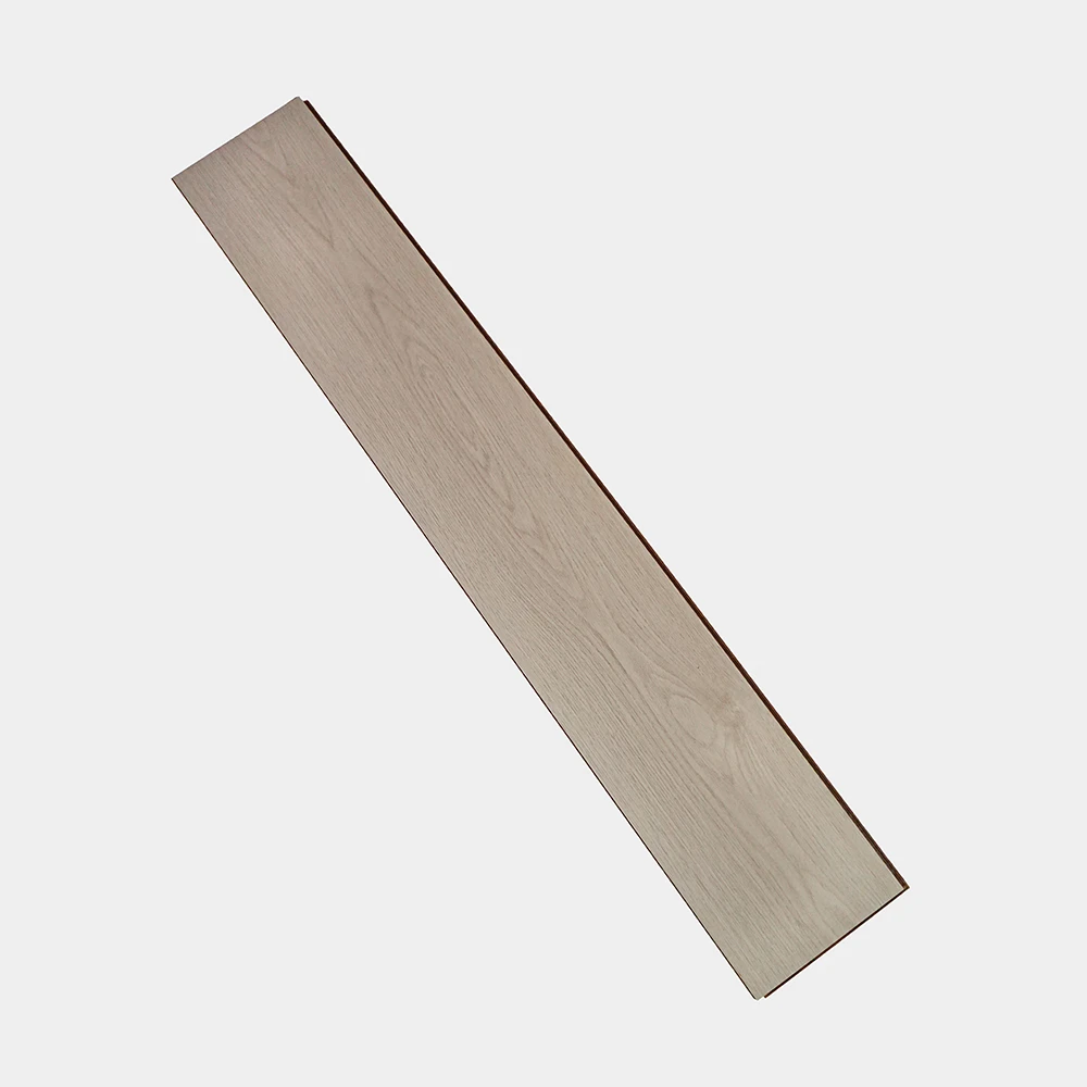 Flt001sy 049 ca dsc00286 gris