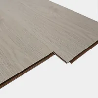 Flt001sy 049 ca dsc00287 gris