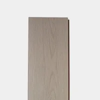 Flt001sy 049 ca dsc00288 gris