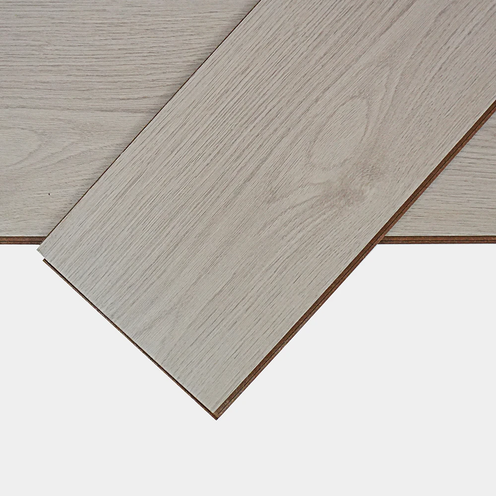 Flt001sy 049 ca dsc00290 gris