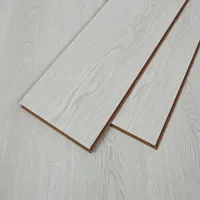 Flt001sy 050 ca dsc00253 gris