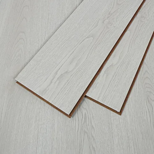 Flt001sy 050 ca dsc00253 gris