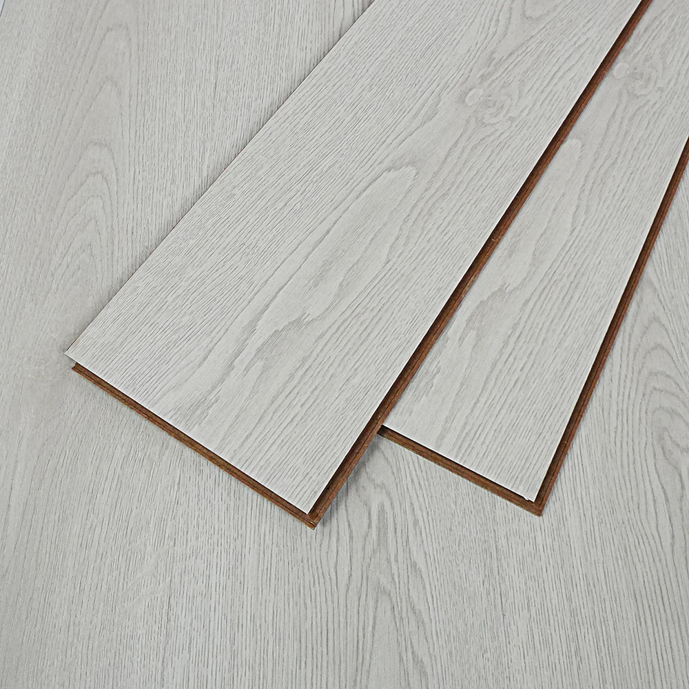 Flt001sy 050 ca dsc00253 gris