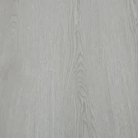 Flt001sy 050 ca dsc00256 gris