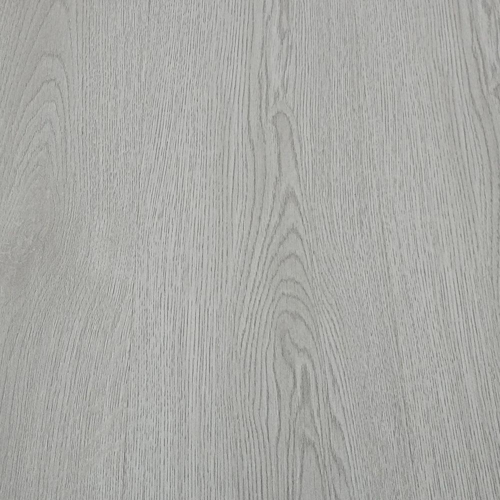 Flt001sy 050 ca dsc00256 gris