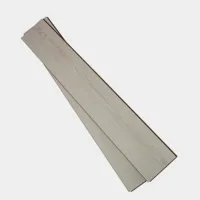 Flt001sy 050 ca dsc00258 gris