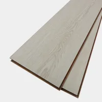 Flt001sy 050 ca dsc00259 gris