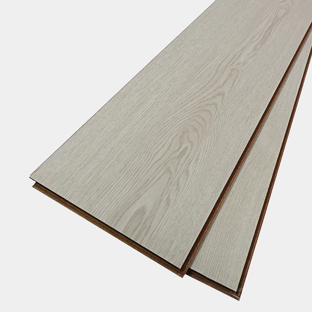 Flt001sy 050 ca dsc00259 gris