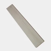 Flt001sy 050 ca dsc00261 gris