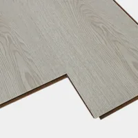 Flt001sy 050 ca dsc00262 gris