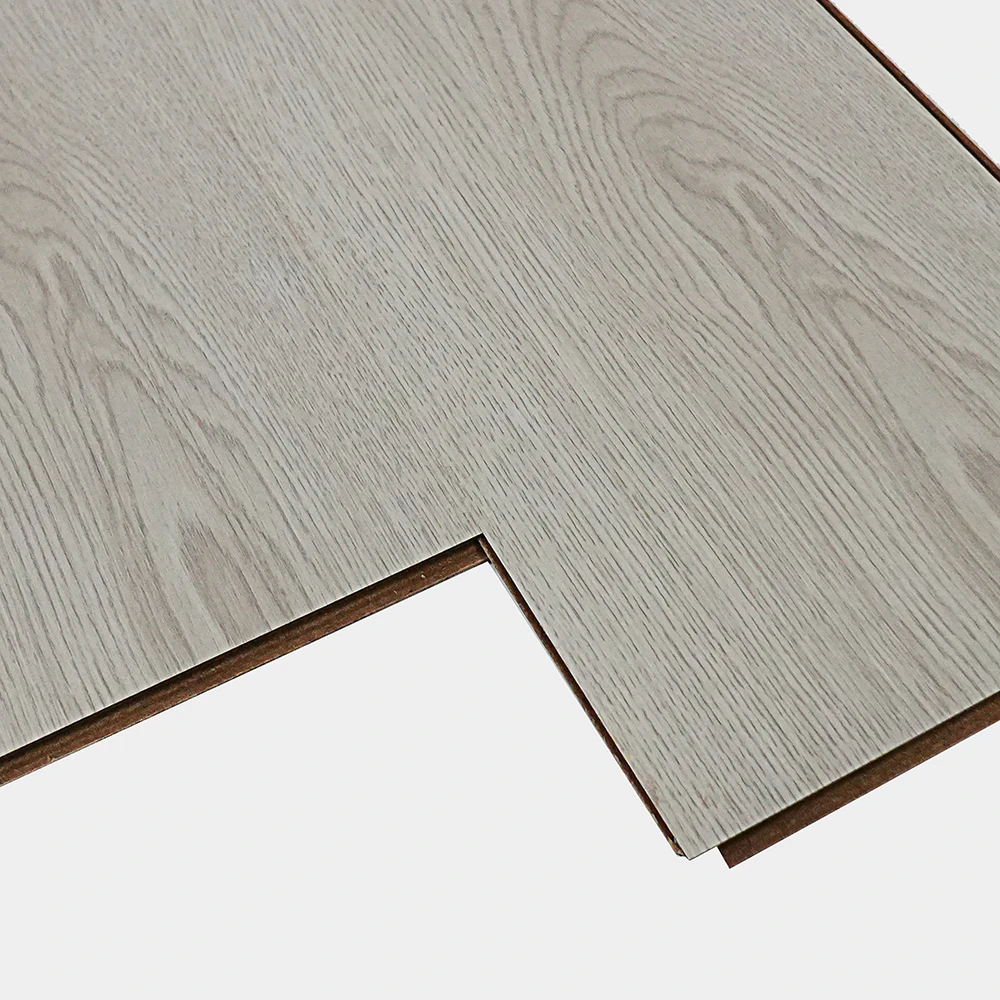 Flt001sy 050 ca dsc00262 gris