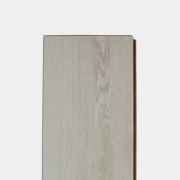 Flt001sy 050 ca dsc00263 gris