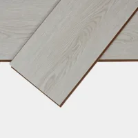 Flt001sy 050 ca dsc00265 gris