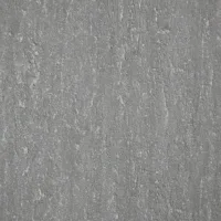 Puv001zw 068 un dsc00472 gris