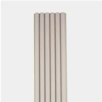 WLP007ZW 028 UN DSC01138 GRIS