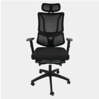 OFI062TL 002 UN DSC00874 GRIS