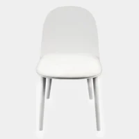 SPP045RY 001 CA DSC00299 GRIS