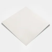 POR003BA001CA DSC01470 GRIS